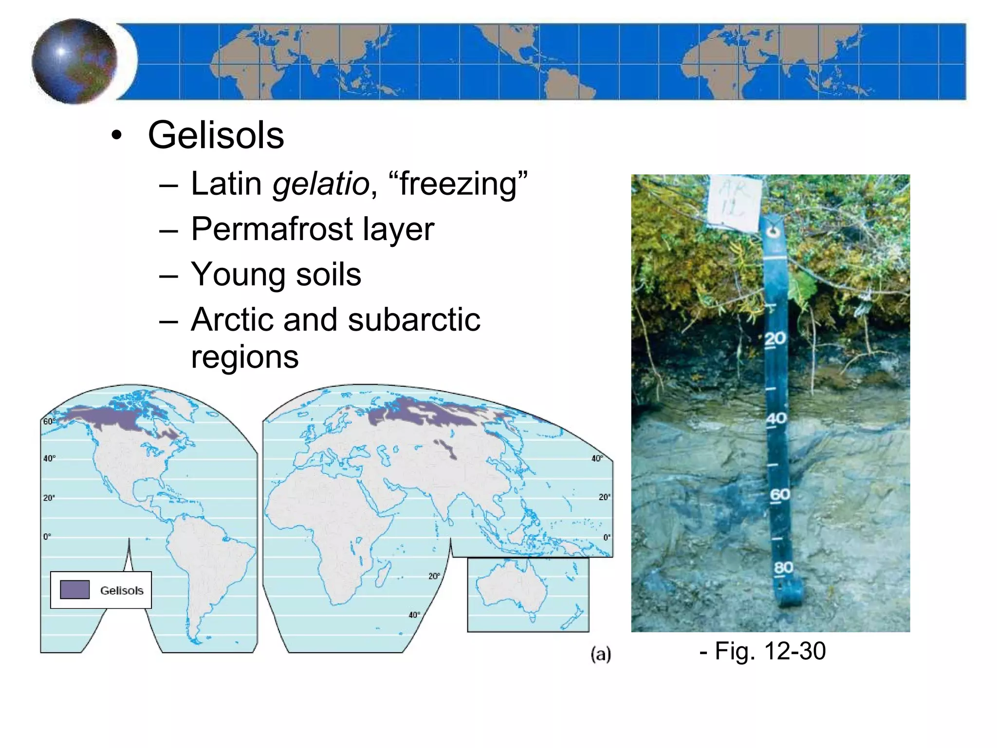 Gelisols Latin  gelatio , “freezing” Permafrost layer Young soils Arctic and subarctic regions Cryoturbation - Fig. 12-30 