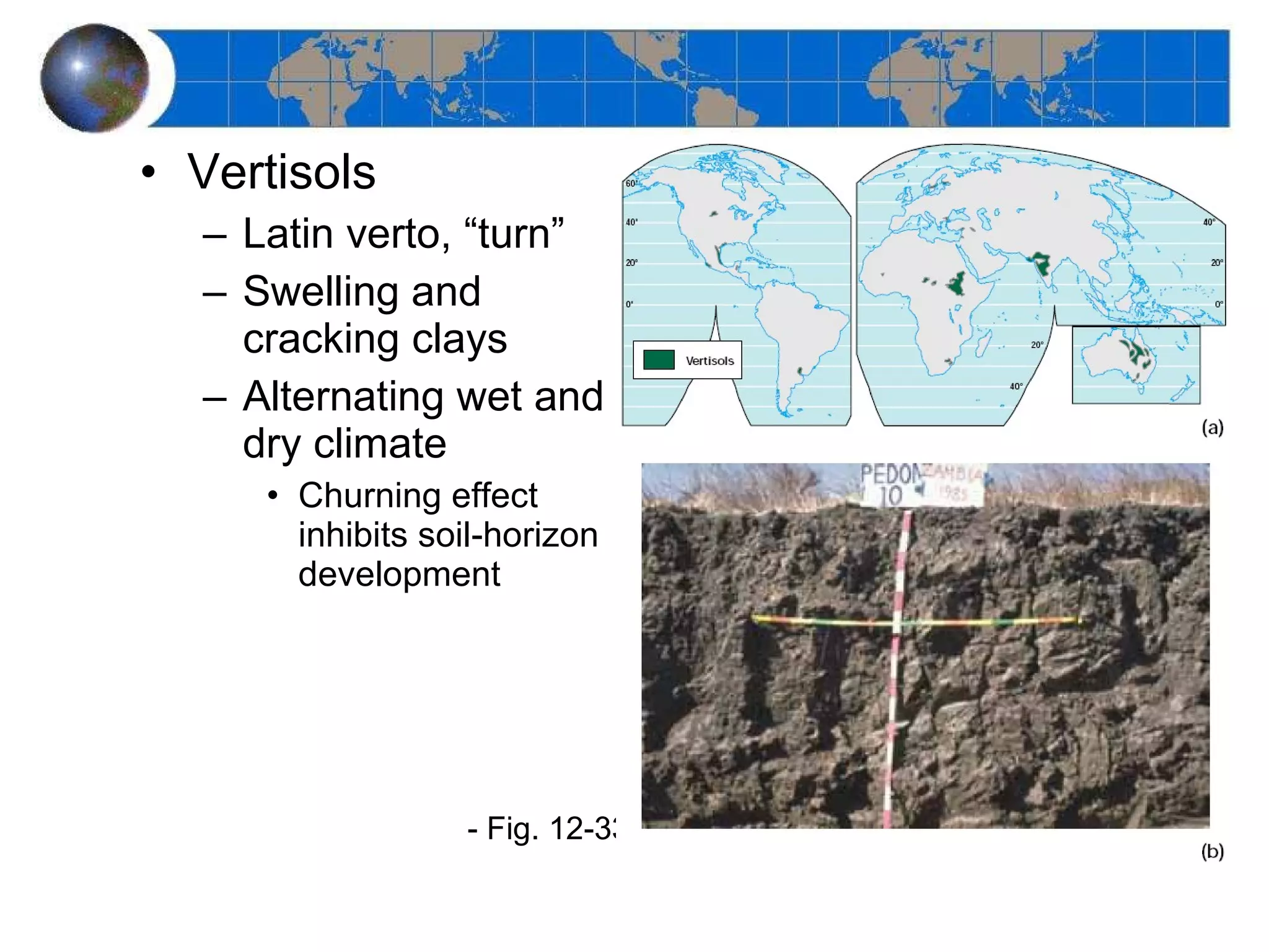 Vertisols Latin verto, “turn” Swelling and cracking clays Alternating wet and dry climate Churning effect inhibits soil-horizon development - Fig. 12-33 