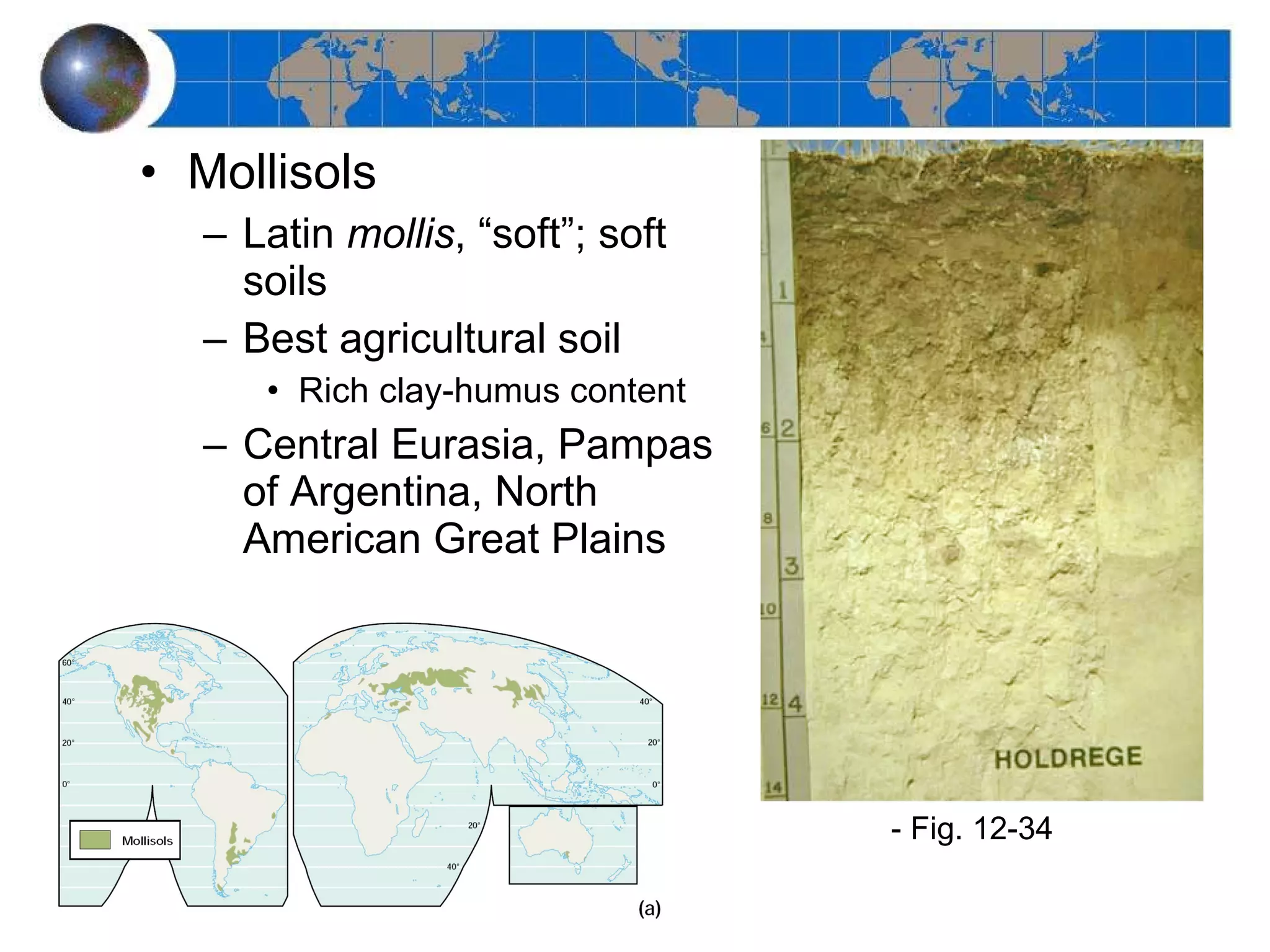 Mollisols Latin  mollis , “soft”; soft soils Best agricultural soil Rich clay-humus content Central Eurasia, Pampas of Argentina, North American Great Plains - Fig. 12-34  