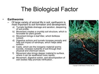 The Biological Factor Earthworms Of large variety of animal life in soil, earthworm is most important to soil formation and development. Tunnels facilitate drainage and aeration, deepening of soil profile. Movement creates a crumbly soil structure, which is favorable for plant growth. Movement brings in leaf litter, which fertilizes subsoil. Digestive actions and tunnels increase porosity and help soil impact of raindrops, which helps deter erosion. Casts, which are the inorganic material worms excrete, increase nutrients of soil through their physical and chemical nature. Movement also brings deeper material to surface, where it can be weathered more rapidly. Movement, digestive action, and decomposition of own bodies help promote nitrification. 