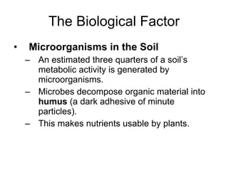 The Biological Factor Microorganisms in the Soil An estimated three quarters of a soil’s metabolic activity is generated by microorganisms. Microbes decompose organic material into  humus  (a dark adhesive of minute particles). This makes nutrients usable by plants. 