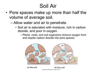 Soil Air Pore spaces make up more than half the volume of average soil. Allow water and air to penetrate. Soil air is saturated with moisture, rich in carbon dioxide, and poor in oxygen.  Plants, roots, and soil organisms remove oxygen from and respite carbon dioxide into pore spaces. 