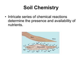 Soil Chemistry Intricate series of chemical reactions determine the presence and availability of nutrients. 
