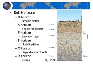 Soil Horizons O horizon Organic matter A horizon Top soil/dark color E horizon Eluviation layer B horizon Illuviation layer C horizon Beyond reach of roots R horizon bedrock - Fig. 12-22 