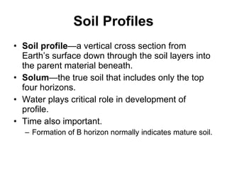 Soil Profiles Soil profile —a vertical cross section from Earth’s surface down through the soil layers into the parent material beneath. Solum —the true soil that includes only the top four horizons. Water plays critical role in development of profile. Time also important. Formation of B horizon normally indicates mature soil. 