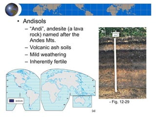 Andisols “ Andi”, andesite (a lava rock) named after the Andes Mts. Volcanic ash soils Mild weathering Inherently fertile - Fig. 12-29 