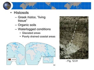 Histosols Greek  histos , “living tissue” Organic soils Waterlogged conditions Glaciated areas Poorly drained coastal areas - Fig. 12-31 