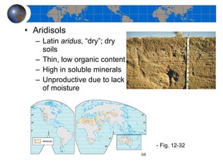Aridisols Latin  aridus , “dry”; dry soils Thin, low organic content High in soluble minerals Unproductive due to lack of moisture - Fig. 12-32 