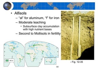 Alfisols “ al” for aluminum, “f” for iron Moderate leaching Subsurface clay accumulation with high nutrient bases Second to Mollisols in fertility - Fig. 12-35 