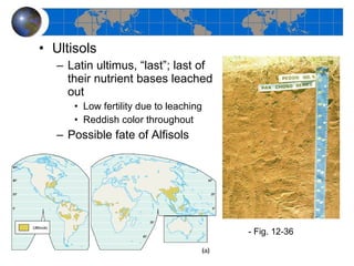 Ultisols Latin ultimus, “last”; last of their nutrient bases leached out Low fertility due to leaching Reddish color throughout Possible fate of Alfisols - Fig. 12-36  