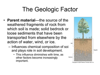 The Geologic Factor Parent material —the source of the weathered fragments of rock from which soil is made; solid bedrock or loose sediments that have been transported from elsewhere by the action of water, wind, or ice. Influences chemical composition of soil and plays role in soil development. This influence diminishes with time, as other factors become increasingly important. 