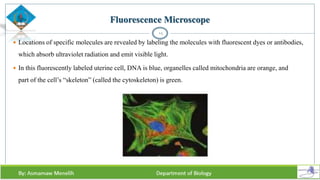 Fluorescence Microscope
 Locations of specific molecules are revealed by labeling the molecules with fluorescent dyes or antibodies,
which absorb ultraviolet radiation and emit visible light.
 In this fluorescently labeled uterine cell, DNA is blue, organelles called mitochondria are orange, and
part of the cell’s “skeleton” (called the cytoskeleton) is green.
14
 