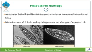 Phase-Contrast Microscopy
A microscope that is able to differentiate transparent protoplasmic structures without staining and
killing.
It is the instrument of choice for studying living protozoans and other types of transparent cells.
15
 