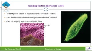Scanning electron microscope (SEM)
The SEM passes a beam of electrons over the specimen’s surface.
SEMs provide three-dimensional images of the specimen’s surface
SEMs can magnify objects up to 100,000 times.
19
 