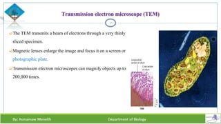 Transmission electron microscope (TEM)
The TEM transmits a beam of electrons through a very thinly
sliced specimen.
Magnetic lenses enlarge the image and focus it on a screen or
photographic plate.
Transmission electron microscopes can magnify objects up to
200,000 times.
21
 