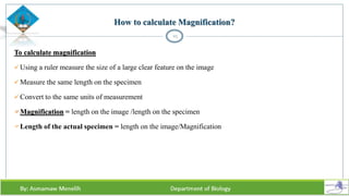 How to calculate Magnification?
To calculate magnification
 Using a ruler measure the size of a large clear feature on the image
 Measure the same length on the specimen
 Convert to the same units of measurement
Magnification = length on the image /length on the specimen
Length of the actual specimen = length on the image/Magnification
25
 