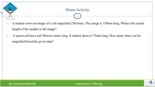 Home Activity
31
1. A student views an image of a cell magnified 250 times. The image is 150mm long. What is the actual
length of the sample in the image?
2. A sperm cell has a tail 50micro meter long. A student draws it 75mm long. How many times can be
magnified based the given data?
 