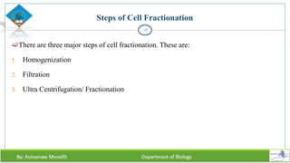 Steps of Cell Fractionation
There are three major steps of cell fractionation. These are:
1. Homogenization
2. Filtration
3. Ultra Centrifugation/ Fractionation
38
 