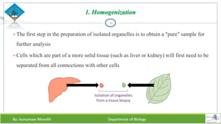 1. Homogenization
The first step in the preparation of isolated organelles is to obtain a "pure" sample for
further analysis
Cells which are part of a more solid tissue (such as liver or kidney) will first need to be
separated from all connections with other cells
39
 
