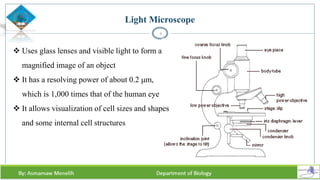 Light Microscope
4
 Uses glass lenses and visible light to form a
magnified image of an object
 It has a resolving power of about 0.2 μm,
which is 1,000 times that of the human eye
 It allows visualization of cell sizes and shapes
and some internal cell structures
 