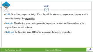 Con’t
 Cold: To reduce enzyme activity. When the cell breaks open enzymes are released which
could be damage the organelles
 Isotonic: Must be the same water potential to prevent osmosis as this could cause the
organelles to shrivel or burst.
 Buffered: the Solution has a PH buffer to prevent damage to organelles
41
 