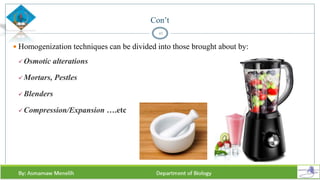 Con’t
 Homogenization techniques can be divided into those brought about by:
 Osmotic alterations
 Mortars, Pestles
 Blenders
 Compression/Expansion ….etc
42
 