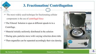  The most widely used technique for fractionating cellular
components is the use of centrifugal force
The Filtered Solution is spun at different speeds to in a
Centrifuge.
Material initially uniformly distributed in the solution
During spin, particles move with varying velocities down tube
Then organelles can be separated accordingly their size density.
44
3. Fractionation/ Centrifugation
 