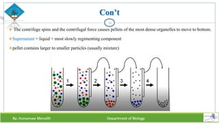 Con’t
 The centrifuge spins and the centrifugal force causes pellets of the most dense organelles to move to bottom.
Supernatant = liquid + most slowly regimenting component
pellet contains larger to smaller particles (usually mixture)
45
 
