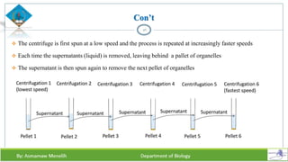 Con’t
 The centrifuge is first spun at a low speed and the process is repeated at increasingly faster speeds
 Each time the supernatants (liquid) is removed, leaving behind a pallet of organelles
 The supernatant is then spun again to remove the next pellet of organelles
46
 