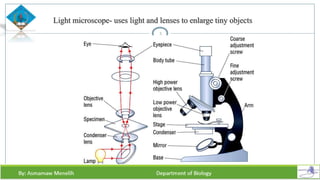 Light microscope- uses light and lenses to enlarge tiny objects
5
 