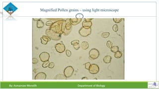 Magnified Pollen grains – using light microscope
6
 