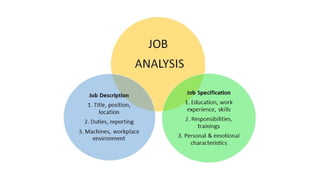 Chapter 2 Human Resource Planning and Pr | PPTX