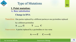 Structure and Synthesis of DNA | PDF