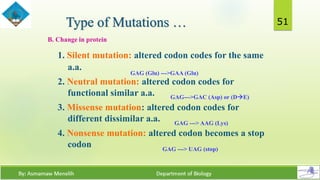 Structure and Synthesis of DNA | PDF