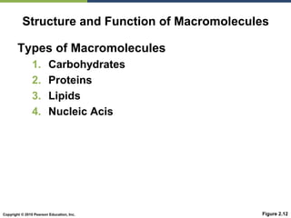 Copyright © 2010 Pearson Education, Inc.
Types of Macromolecules
1. Carbohydrates
2. Proteins
3. Lipids
4. Nucleic Acis
Figure 2.12
Structure and Function of Macromolecules
 