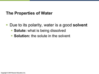 Copyright © 2010 Pearson Education, Inc.
The Properties of Water
 Due to its polarity, water is a good solvent
 Solute: what is being dissolved
 Solution: the solute in the solvent
 