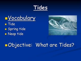 Tides
Vocabulary
 Tide
 Spring tide
 Neap tide
Objective: What are Tides?
 