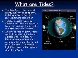What are Tides?
 The Tide Cycle- the force of
gravity pulls the on and Earth,
including water on Earth’s
surface, toward each other.
 Tides are caused mainly by
differences in how much gravity
from the moon and the sun pulls
on different parts of Earth.
 At any one time on Earth, there
are 2 places with high tides and
2 places with low tides. As
Earth rotates, one high tide
occurs on the side of Earth that
faces the moon. The second
high tide occurs on the opposite
side of the Earth.
 