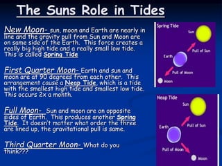 The Suns Role in Tides
New Moon- sun, moon and Earth are nearly in
line and the gravity pull from Sun and Moon are
on same side of the Earth. This force creates a
really big high tide and a really small low tide.
This is called Spring Tide
First Quarter Moon- Earth and sun and
moon are at 90 degrees from each other. This
arrangement cause a Neap Tide, which is a tide
with the smallest high tide and smallest low tide.
This occurs 2x a month.
Full Moon- Sun and moon are on opposite
sides of Earth. This produces another Spring
Tide. It doesn’t matter what order the three
are lined up, the gravitational pull is same.
Third Quarter Moon- What do you
think???
 