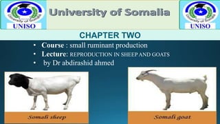 CHAPTER TWO
• Course : small ruminant production
• Lecture: REPRODUCTION IN SHEEP AND GOATS
• by Dr abdirashid ahmed
 