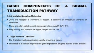 CHAPTER V. INTRODUCTION TO SIGNAL TRANSDUCTION.pptx