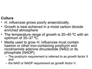Culture
• H. influenzae grows poorly anaerobically.
• Growth is best achieved in a moist carbon dioxide
enriched atmosphere
• The temperature range of growth is 20–40 ºC with an
optimum of 35–37 ºC.
• Media used to grow H. influenzae must contain
haemin or other iron-containing porphyrin and
nicotinamide adenine dinucleotide (NAD) or its
phosphate (NADP).
– The porphyrin requirement is referred to as growth factor X
and
– the NAD or NADP requirement as growth factor V.
 