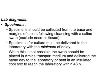 Lab diagnosis:
• Specimens:
– Specimens should be collected from the base and
margins of ulcers following cleansing with a saline
swab (exclude necrotic tissue).
– Specimens for culture must be delivered to the
laboratory with the minimum of delay.
– When this is not possible the swab should be
placed in Amies transport medium and delivered the
same day to the laboratory or sent in an insulated
cool box to reach the laboratory within 48 h.
 