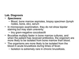 Lab. Diagnosis
• Specimens:
– Blood, bone marrow aspirates, biopsy specimen (lymph
nodes, bone, etc), serum
• In microscopic examination, they do not show bipolar
staining but may stain unevenly.
– tiny gram-negative coccobacilli
• Brucellae multiply faster in bone marrow cultures, and
when the patient has received antibiotics, the organism are
more likely to be isolated from bone marrow than blood.
• The organisms are more likely to be isolated from the
blood in acute brucellosis during times of fever.
– Isolation is extremely rare in chronic brucellosis.
 