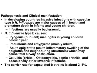 Pathogenesis and Clinical manifestation
• In developing countries invasive infections with capsular
type b H. influenzae are major causes of ill health and
premature death in infants and young children.
– Infections are usually bacteraemic.
• H. influenzae type b causes:
– Pyogenic (purulent) meningitis in young children
below 5 year.
– Pneumonia and emypyema (mainly adults).
– Acute epiglottitis (acute inflammatory swelling of the
epiglottis and neighbouring structures) which may
cause fatal airway obstruction.
– Cellulitis (orbital), Osteomyelitis, septic arthritis, and
occasionally other invasive infections.
• The carrier rate for capsulated b strains is about 2–4%.
 
