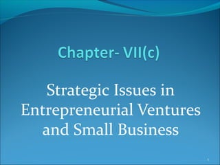Strategic Issues in
Entrepreneurial Ventures
and Small Business
1
 