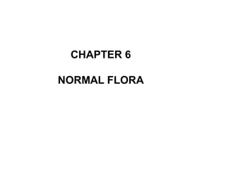 CHAPTER 6
NORMAL FLORA
 