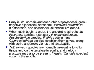  Early in life, aerobic and anaerobic staphylococci, gram-
negative diplococci (neisseriae, Moraxella catarrhalis),
diphtheroids, and occasional lactobacilli are added.
 When teeth begin to erupt, the anaerobic spirochetes,
Prevotella species (especially P melaninogenica),
Fusobacterium species, Rothia species, and
Capnocytophaga species establish themselves, along
with some anaerobic vibrios and lactobacilli.
 Actinomyces species are normally present in tonsillar
tissue and on the gingivae in adults, and various
protozoa may also be present. Yeasts (Candida species)
occur in the mouth.
 