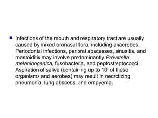  Infections of the mouth and respiratory tract are usually
caused by mixed oronasal flora, including anaerobes.
Periodontal infections, perioral abscesses, sinusitis, and
mastoiditis may involve predominantly Prevotella
melaninogenica, fusobacteria, and peptostreptococci.
Aspiration of saliva (containing up to 102
of these
organisms and aerobes) may result in necrotizing
pneumonia, lung abscess, and empyema.
 