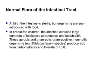 Normal Flora of the Intestinal Tract
 At birth the intestine is sterile, but organisms are soon
introduced with food.
 In breast-fed children, the intestine contains large
numbers of lactic acid streptococci and lactobacilli.
These aerobic and anaerobic, gram-positive, nonmotile
organisms (eg, Bifidobacterium species) produce acid
from carbohydrates and tolerate pH 5.0.
 